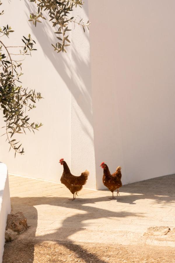 Sikalindi Apulia Villa Gagliano del Capo Bagian luar foto